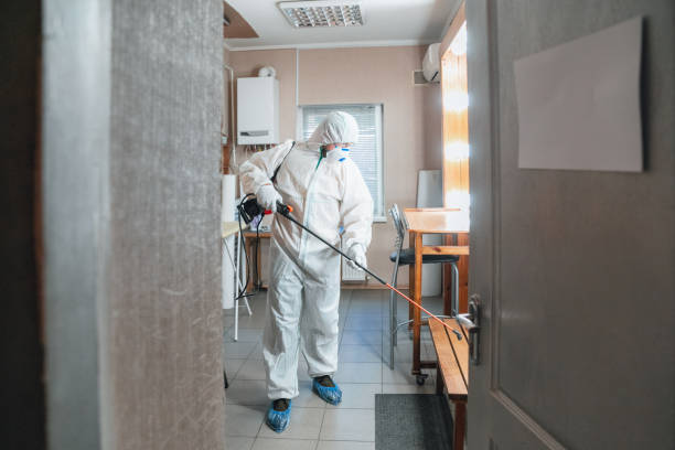 Mold Documentation for Insurance Claims in Brazil, IN