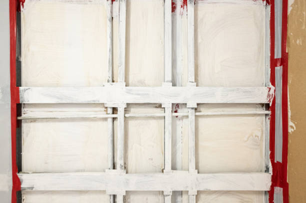 Best Commercial Mold Inspection  in Brazil, IN