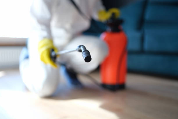 Best Environmental Consulting for Mold Prevention  in Brazil, IN